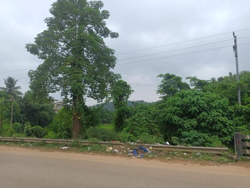 43,200 sq feet NH37 First plot at Sonapur Town