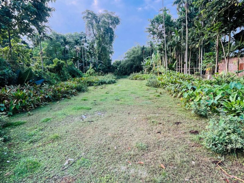 4 bigha 1katha 16lessa miyadi patta plot front space 50ft approx